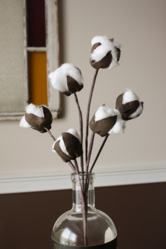 cotton stems013